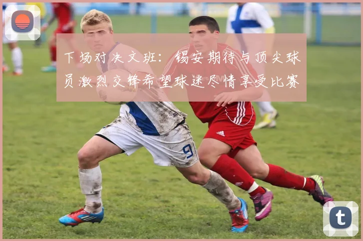下场对决文班：锡安期待与顶尖球员激烈交锋希望球迷尽情享受比赛乐趣