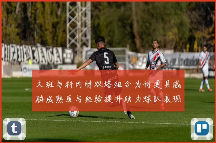 文班与科内特双塔组合为何更具威胁成熟度与经验提升助力球队表现