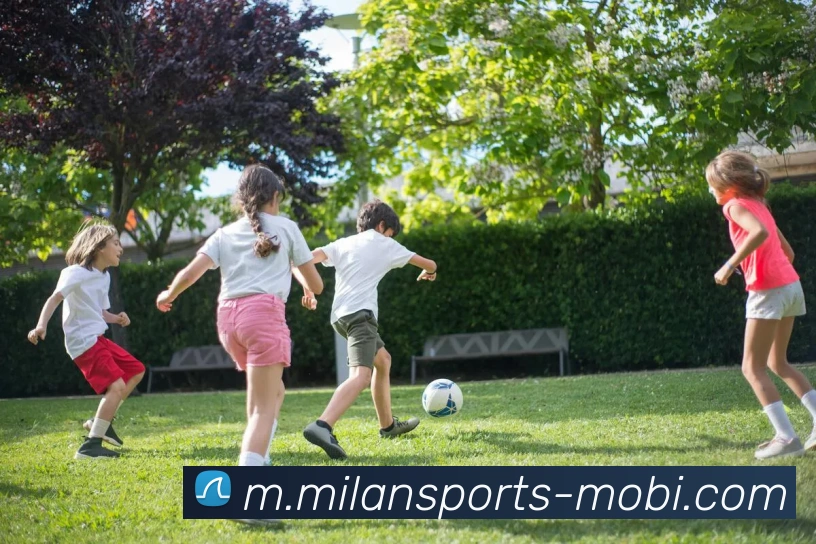 米兰体育APP 封面图